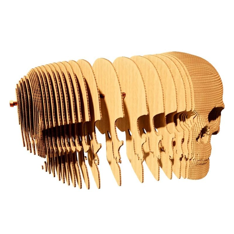 Cráneo 2 Puzzle 3D – Cráneo montaje