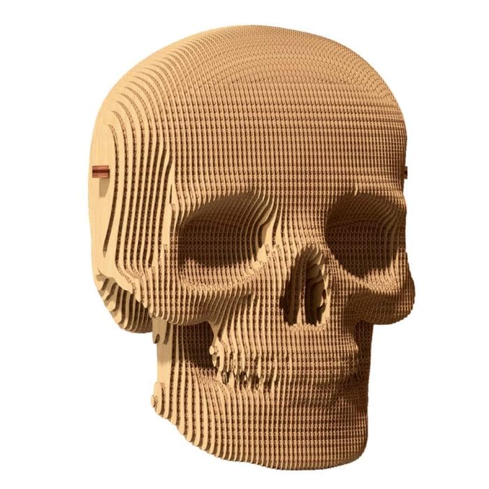 Puzzle 3D – Cráneo