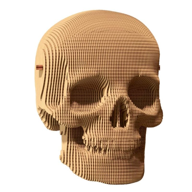 Puzzle 3D – Cráneo